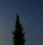 Perseiden_1308_0315_1.jpg
