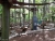 kletterbaeume-01.jpg