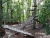 kletterbaeume-02.jpg