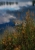 Test Jupiter 8 - 4.jpg
