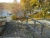 greibnitzsee-2.jpg