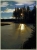 Neulich am Waldsee II1.jpg