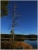 Novembernachmittag an einem Waldsee.jpg