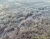 eiskeller-102.jpg