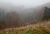 Nebel_1.jpg