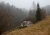 Nebel_2.jpg