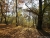 falkensee-101.jpg