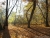 falkensee-100.jpg