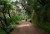 Levada_1.jpg
