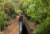 Levada_2.jpg