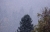 Erster Schnee.jpg