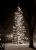 Lichterbaum_1965_1.jpg