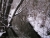 fliess-01.jpg