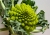 Romanesco_1.jpg
