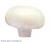champignon.jpg