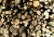 holz-101.jpg