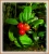 Preiselbeeren.JPG
