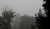 Herbstnebel.jpg