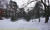 winter-teich-04.jpg