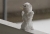 Schneemann_2.jpg
