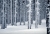 Winter_Puchenau_3.jpg