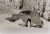 Winterauto_1967.jpg