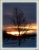 Wintermorgen.JPG