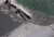 Eisregen_4.jpg