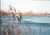 20160307_103324.jpg