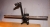 _DSC567725przps.jpg