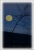 Nur der Mond II.JPG