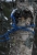 Testbild 1.JPG