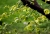 Nikon E_135.jpg