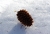 Testbild Ofenrohr 3.jpg