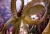 Octupus_2.jpg