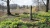 park-01.jpg