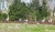 park-05.jpg