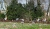 park-05a.jpg