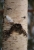 Testbild  1 Pentacon 200mm f4.jpg