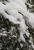 Testbild  2 Pentacon 200mm f4.jpg