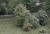 DSC08035.JPG