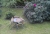 IMG04007.jpg