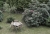 DSC08037.JPG