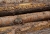 am-wegesrand-18.jpg