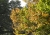 herbst-104.jpg