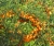 herbst-100.jpg