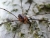 DSCN5399_960.JPG