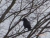 P1100250.JPG