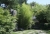 G_1291.jpg