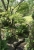 G_1352.jpg